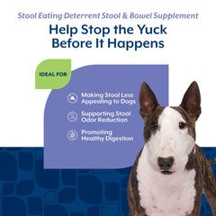 NaturVet enzimas y probióticos, ingredientes visibles, potencial apoyo digestivo.