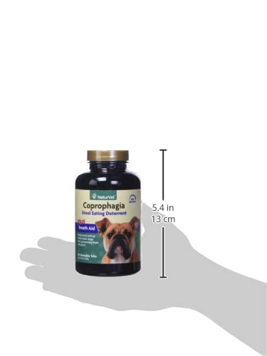 NaturVet Enzimas Probióticos: apoyo digestivo con tabletas masticables para uso diario.
