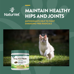 Gato comiendo gomitas NaturVet, experiencia sabrosa y saludable