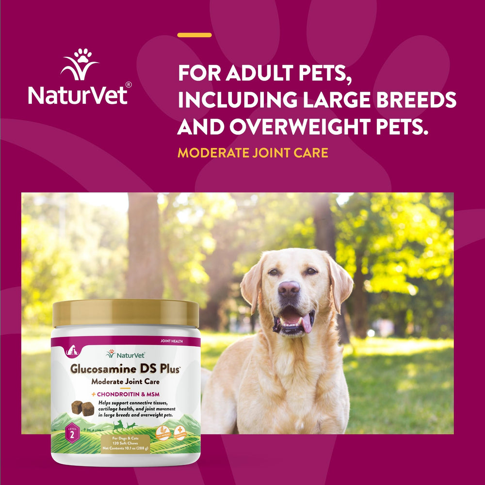 Etiqueta NaturVet Glucosamine DS Plus, fórmula para articulaciones de mascotas.