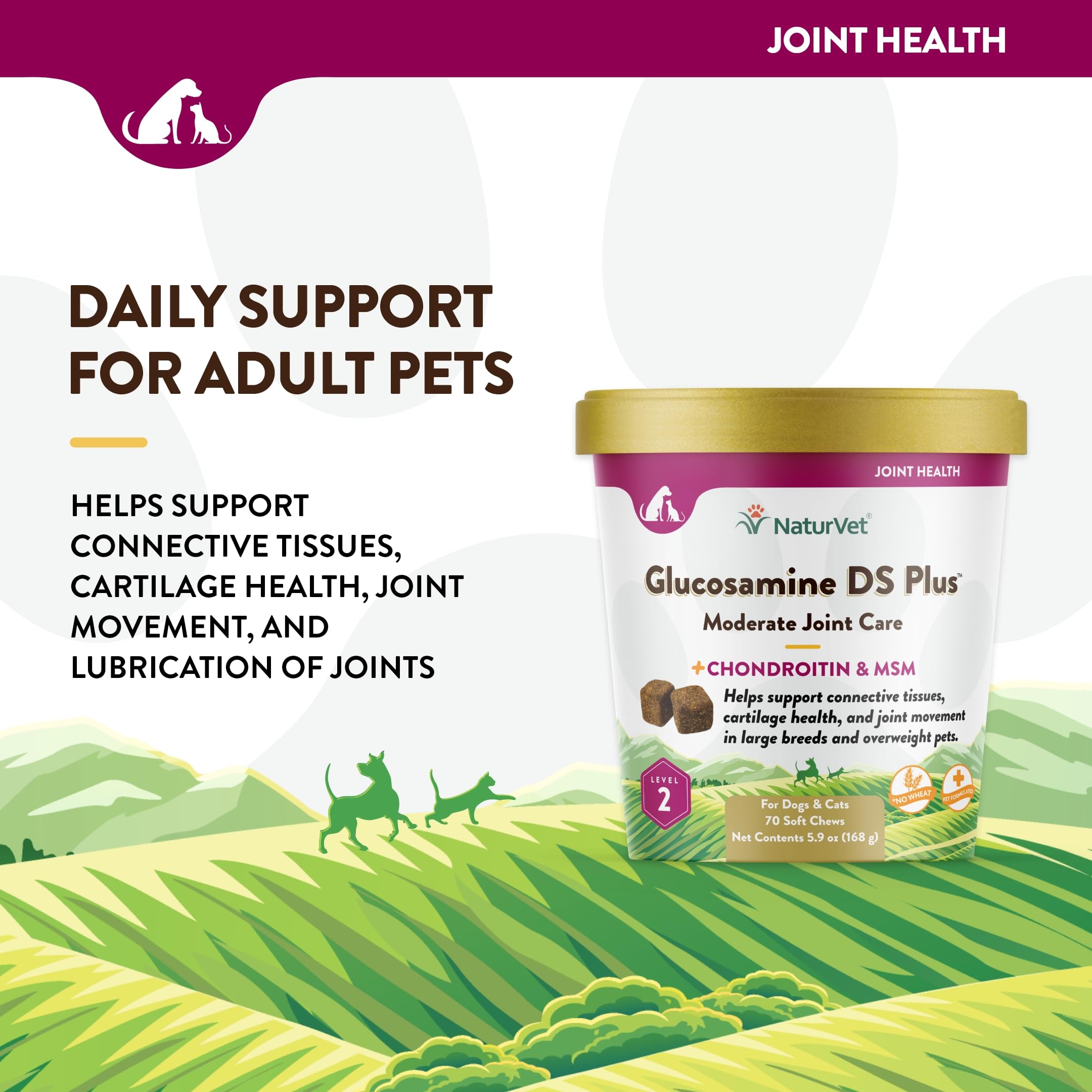 NaturVet Glucosamine DS Plus ingredientes: condroitina para salud articular