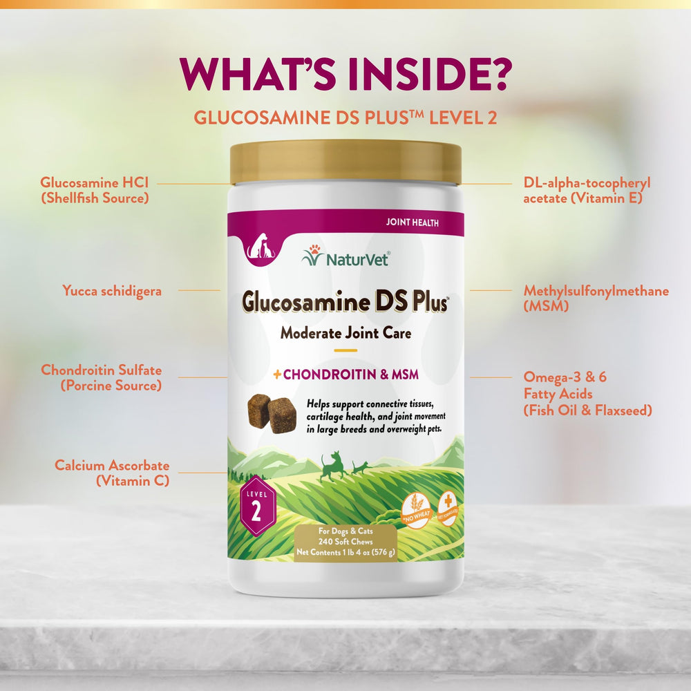 Perro masticando NaturVet Glucosamine DS Plus, apoyo articular