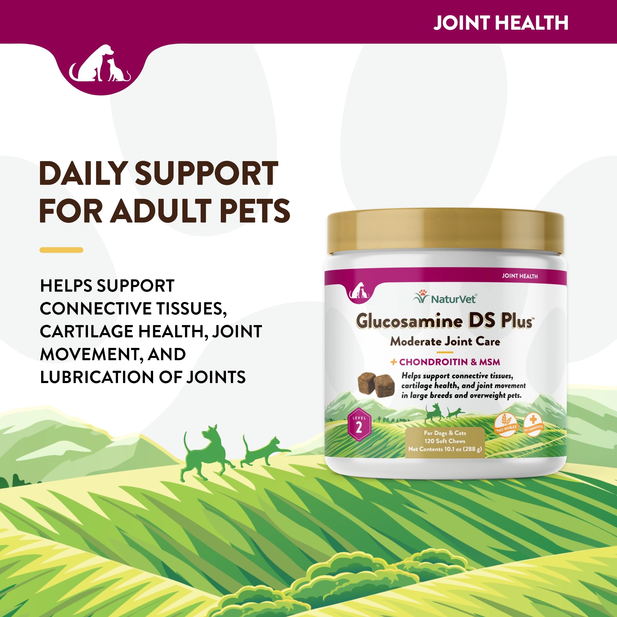 NaturVet Glucosamine DS Plus en mano, fácil de administrar.