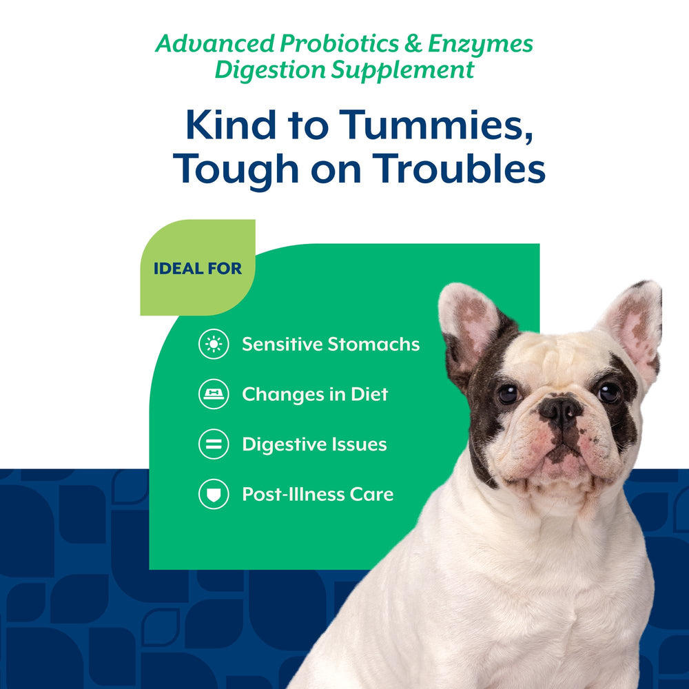 Gomitas suaves digestivas NaturVet para perros, fáciles de masticar