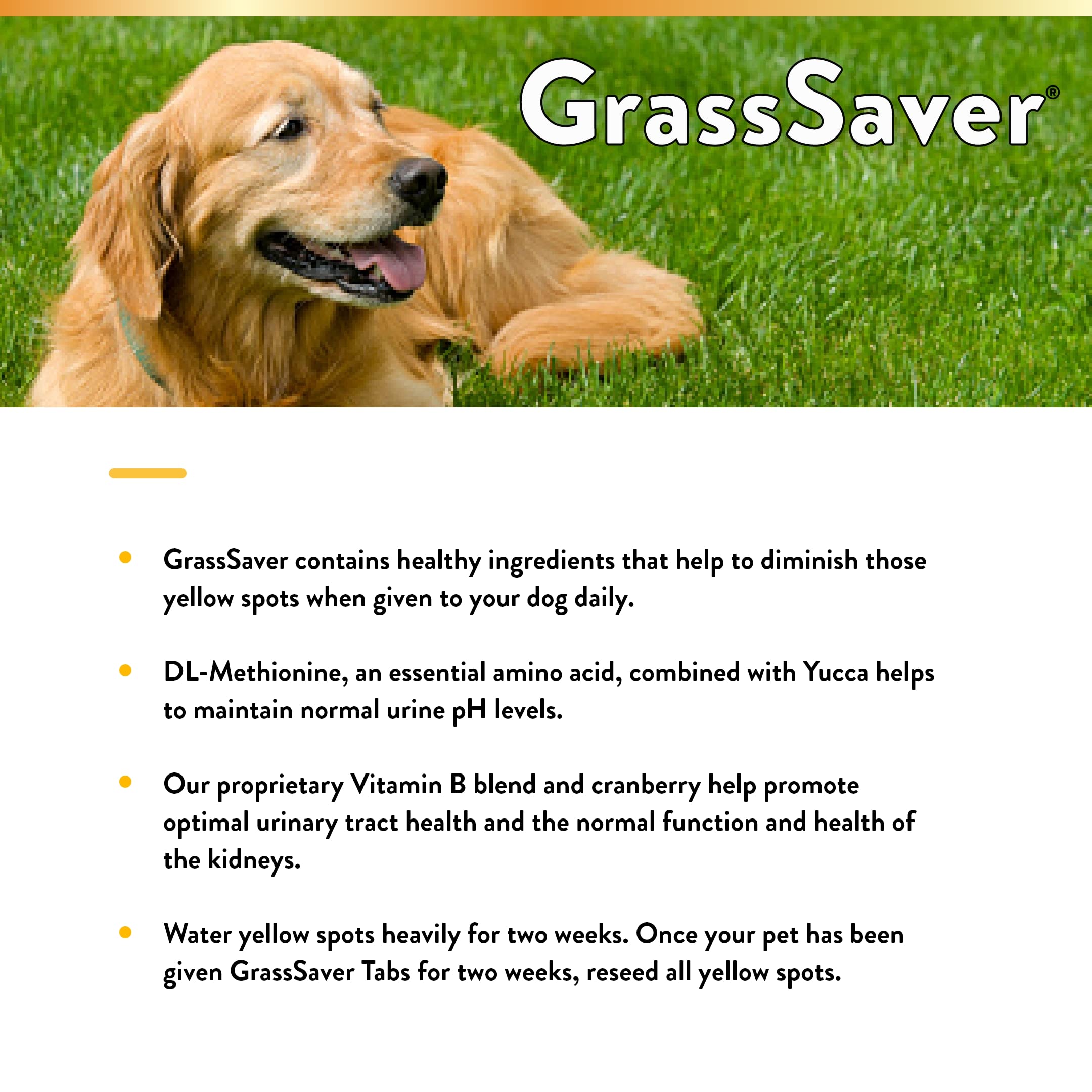 NaturVet GrassSaver: césped sano y perro activo gracias a la fórmula.