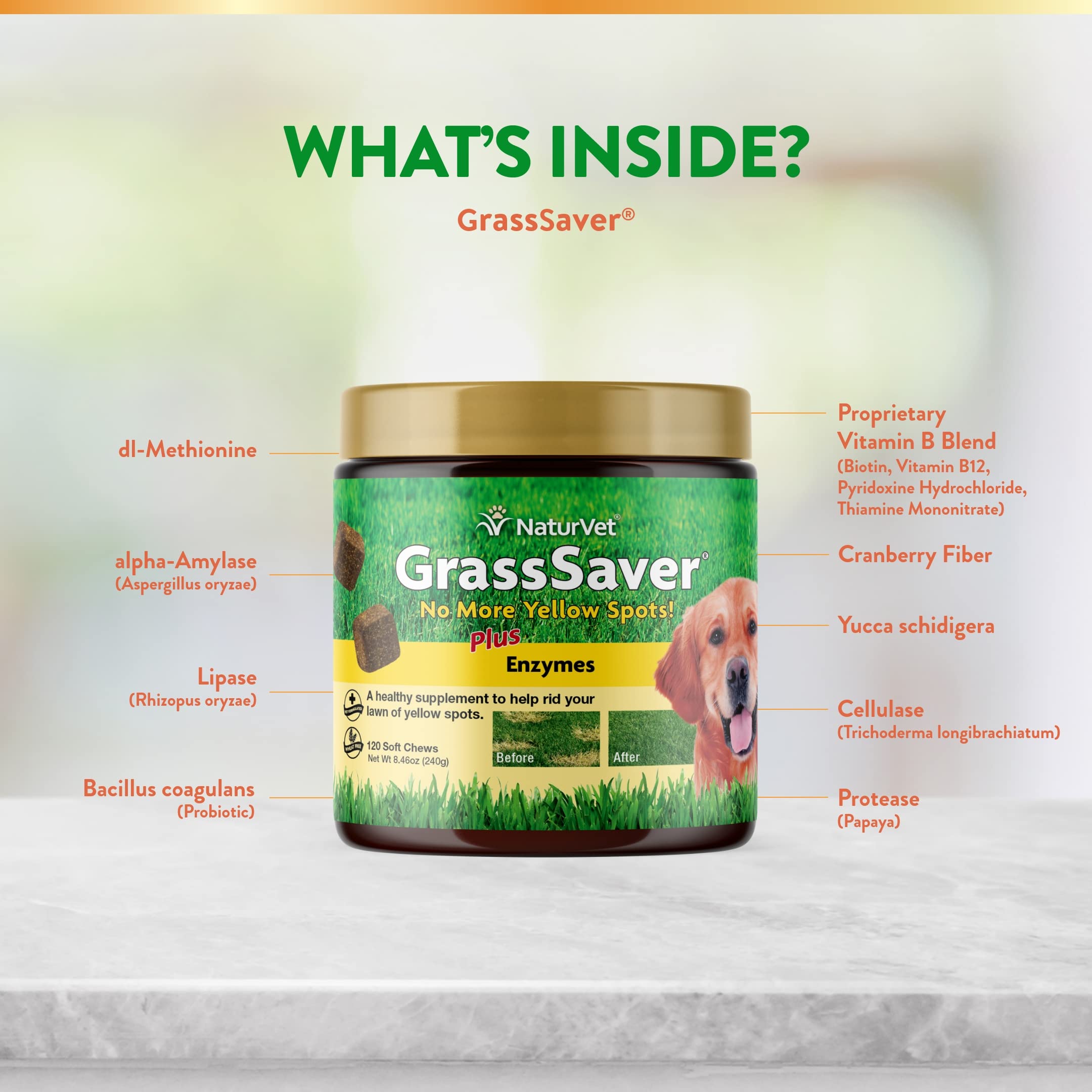 Enzimas naturales en GrassSaver para apoyar procesos digestivos en perros.