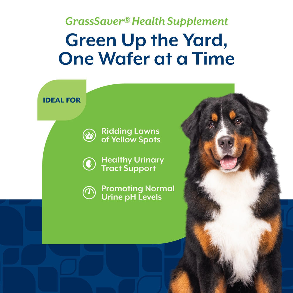 NaturVet GrassSaver, césped verde y reducción de manchas amarillas