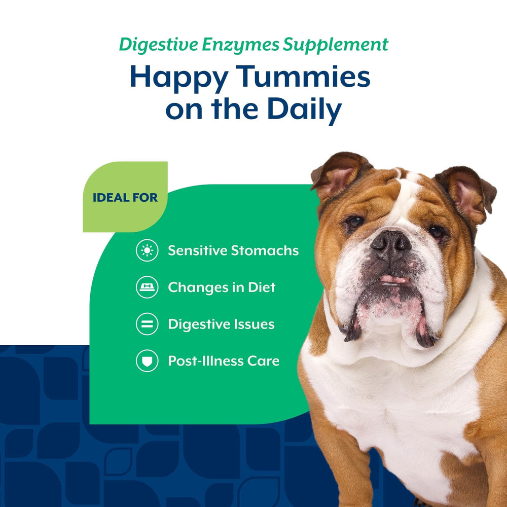 NaturVet mezcla de probióticos y prebióticos para equilibrio digestivo