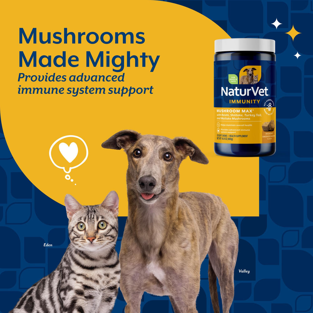NaturVet Mushroom Max cápsulas fáciles de administrar