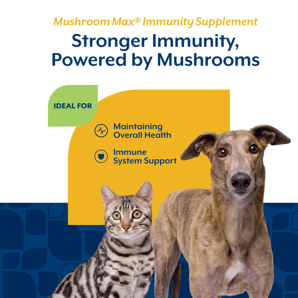 NaturVet Mushroom Max, ingredientes clave, shiitake y reishi para la salud.