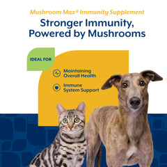 NaturVet Mushroom Max mezcla de hongos shiitake reishi maitake cola de pavo