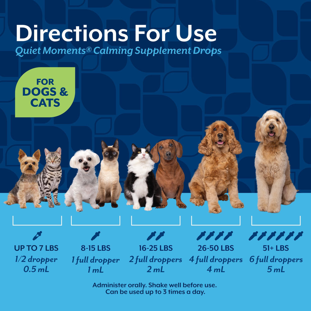 NaturVet Quiet Moments facilita la vida diaria con dosis simples para perros y gatos.