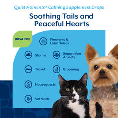 NaturVet Quiet Moments contiene jengibre y L-triptófano para apoyar la relajación.