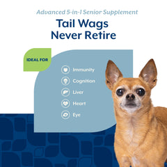 NaturVet Senior Advanced: perro senior jugando y energizado al usar el suplemento