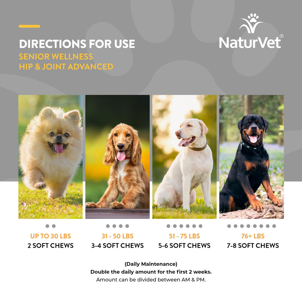 Uso diario recomendado de NaturVet para movilidad.