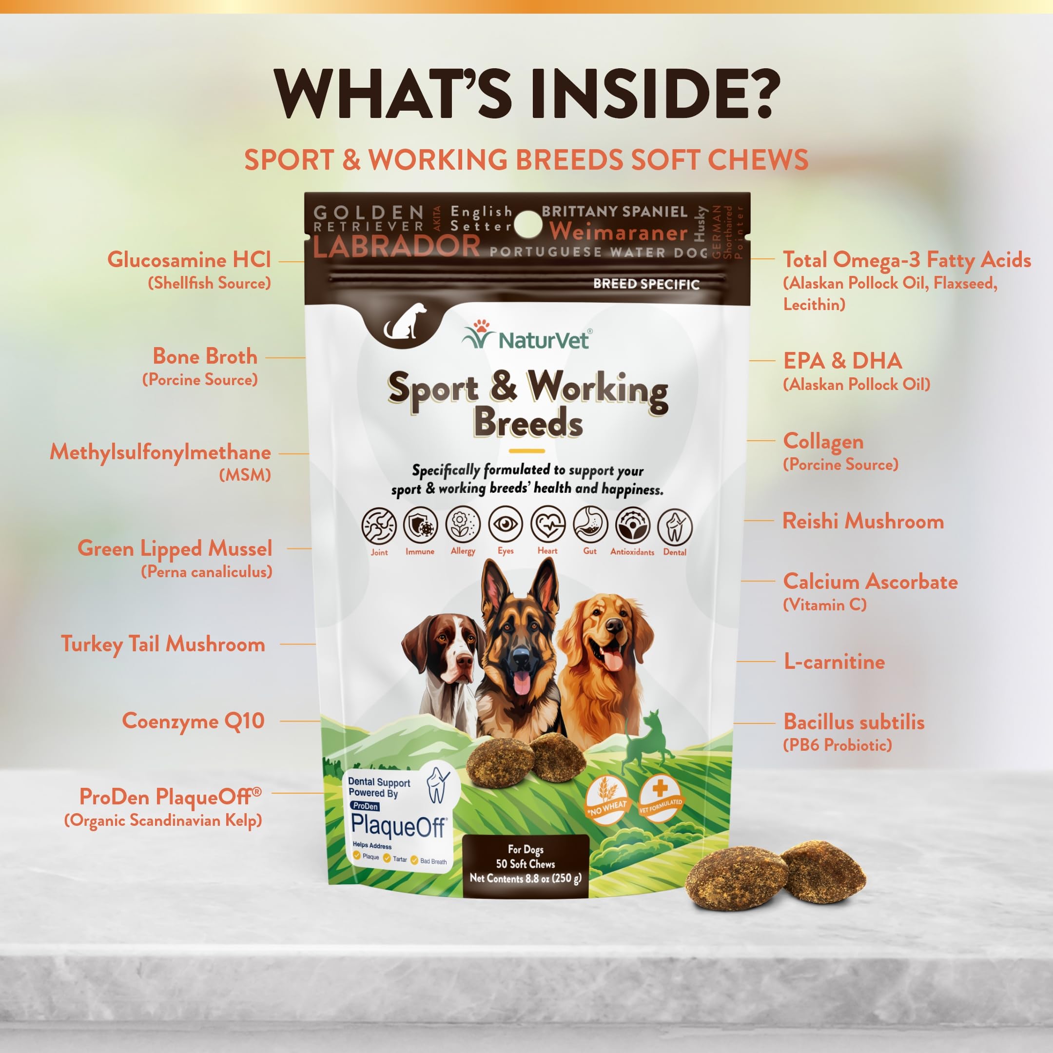 NaturVet Sport: articulaciones fortalecidas gracias a glucosamina y omega-3