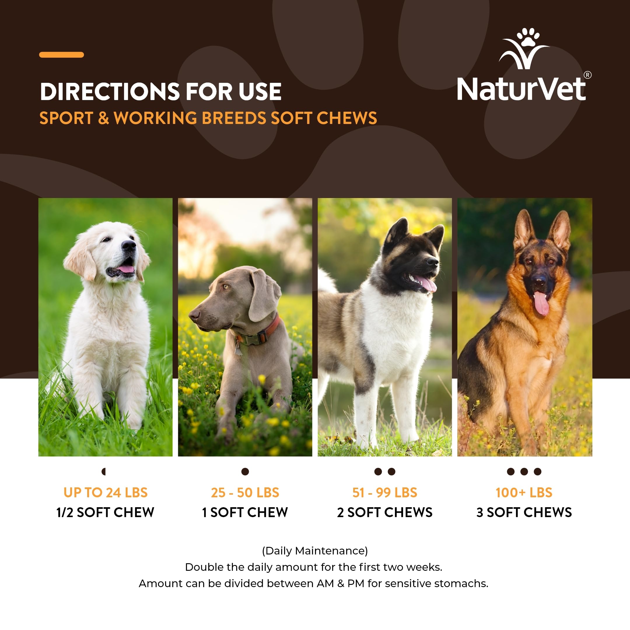 NaturVet Sport: piel y pelaje sanos con omegas y colágeno