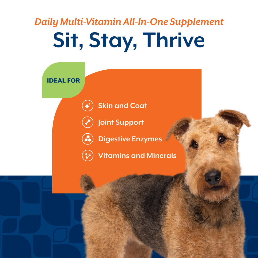 NaturVet Todo-en-Uno: glucosamina y condroitina para articulaciones.