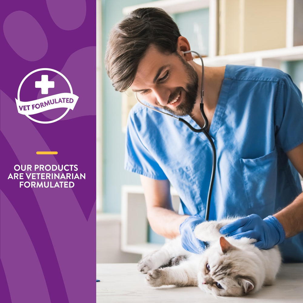 NaturVet VitaPet Senior formulación veterinaria, visible para gatos.