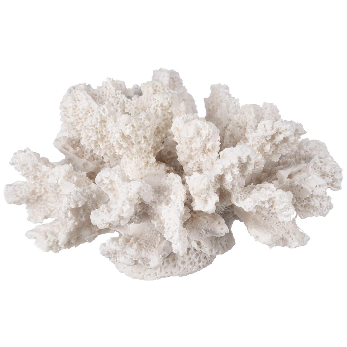 Nautical Crush Trading Coral Blanco, pieza artesanal duradera para decoración náutica.