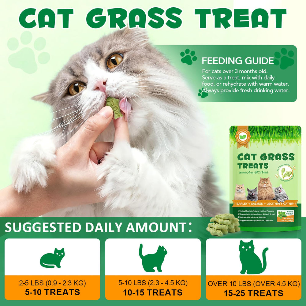 NBTREKTIE Biscitos con hierba gatera, crujientes para gatos de alto sabor.