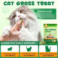 NBTREKTIE Biscitos con hierba gatera, crujientes para gatos de alto sabor.