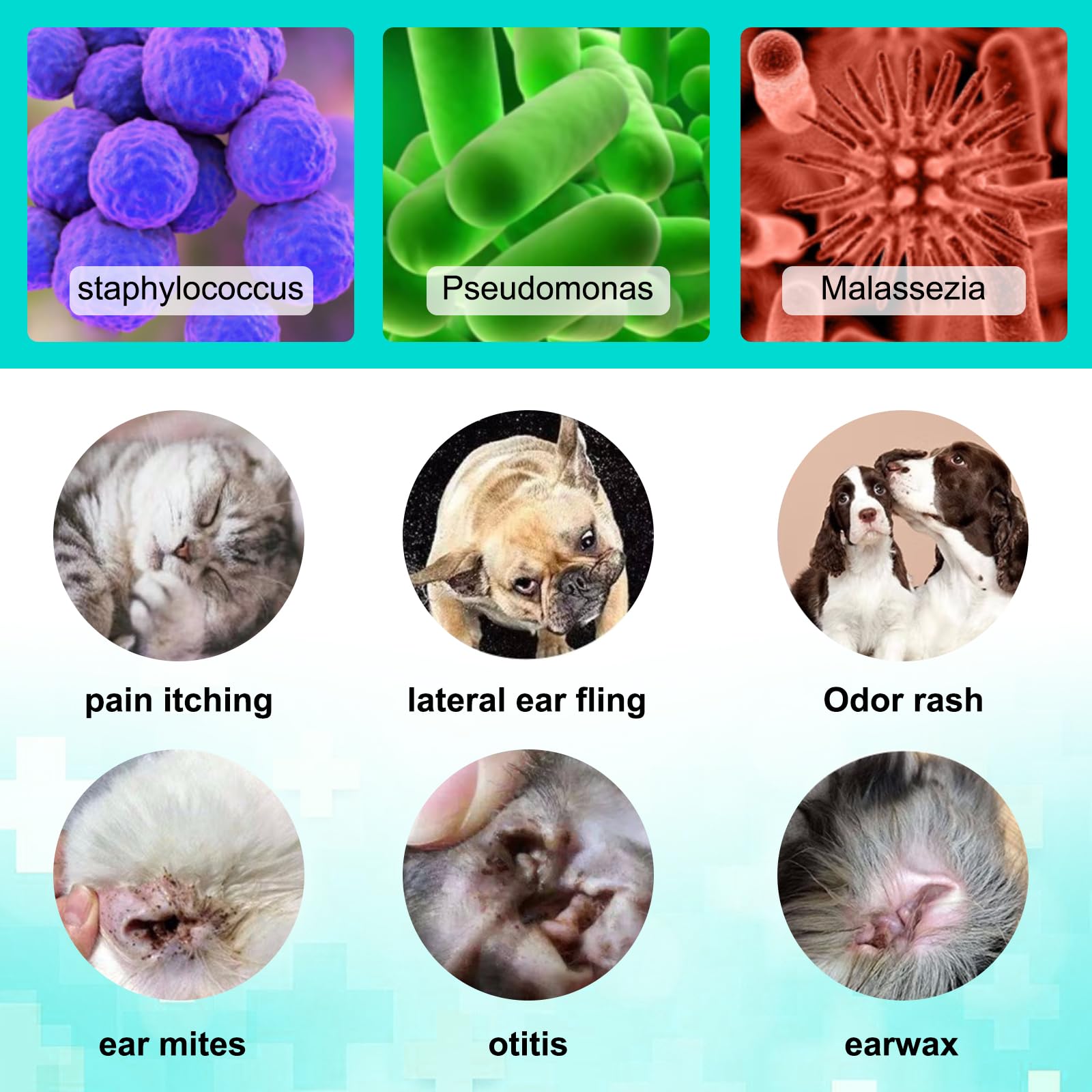 Fórmula de NBTREKTIE con ingredientes veterinarios cuida el oído entre visitas.