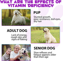 Fórmula NB TREKTIE con ingredientes naturales y sin rellenos para perros