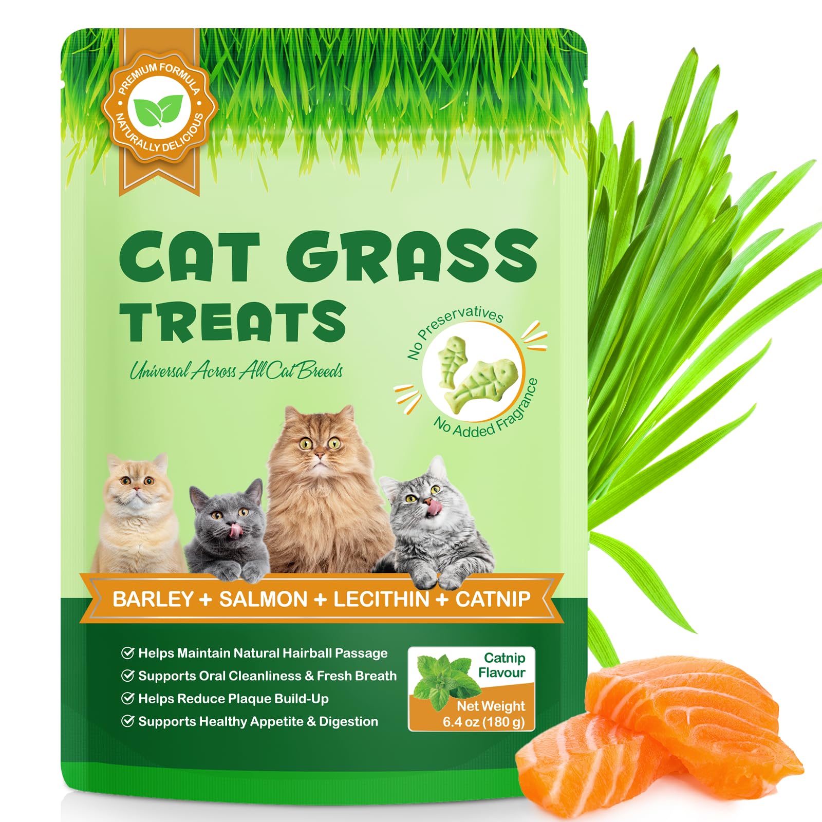 NBTREKTIE Premios dentales con hierba gatera para gatos, empaque práctico.