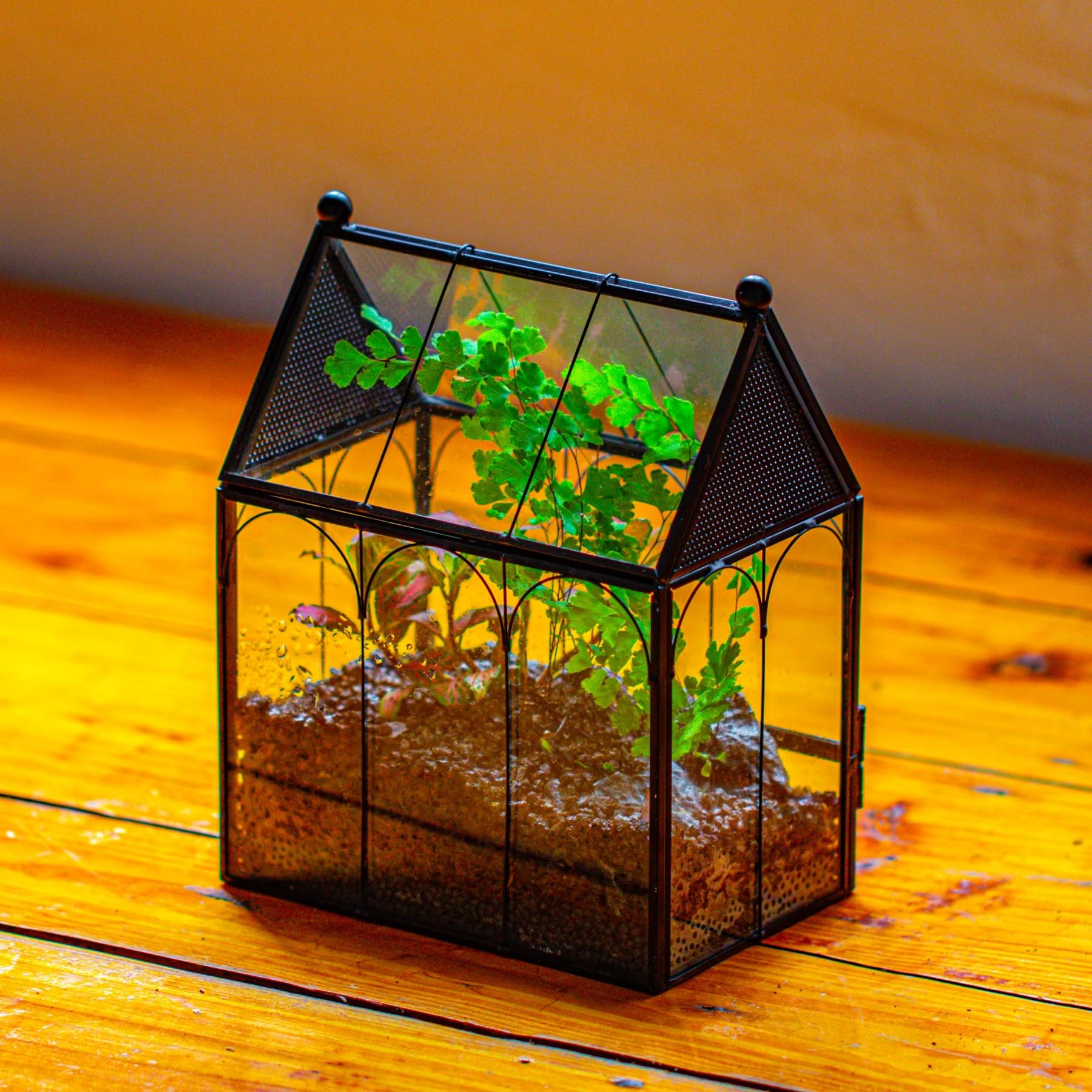 NCYP terrario decorativo para escritorio con diseño geométrico.