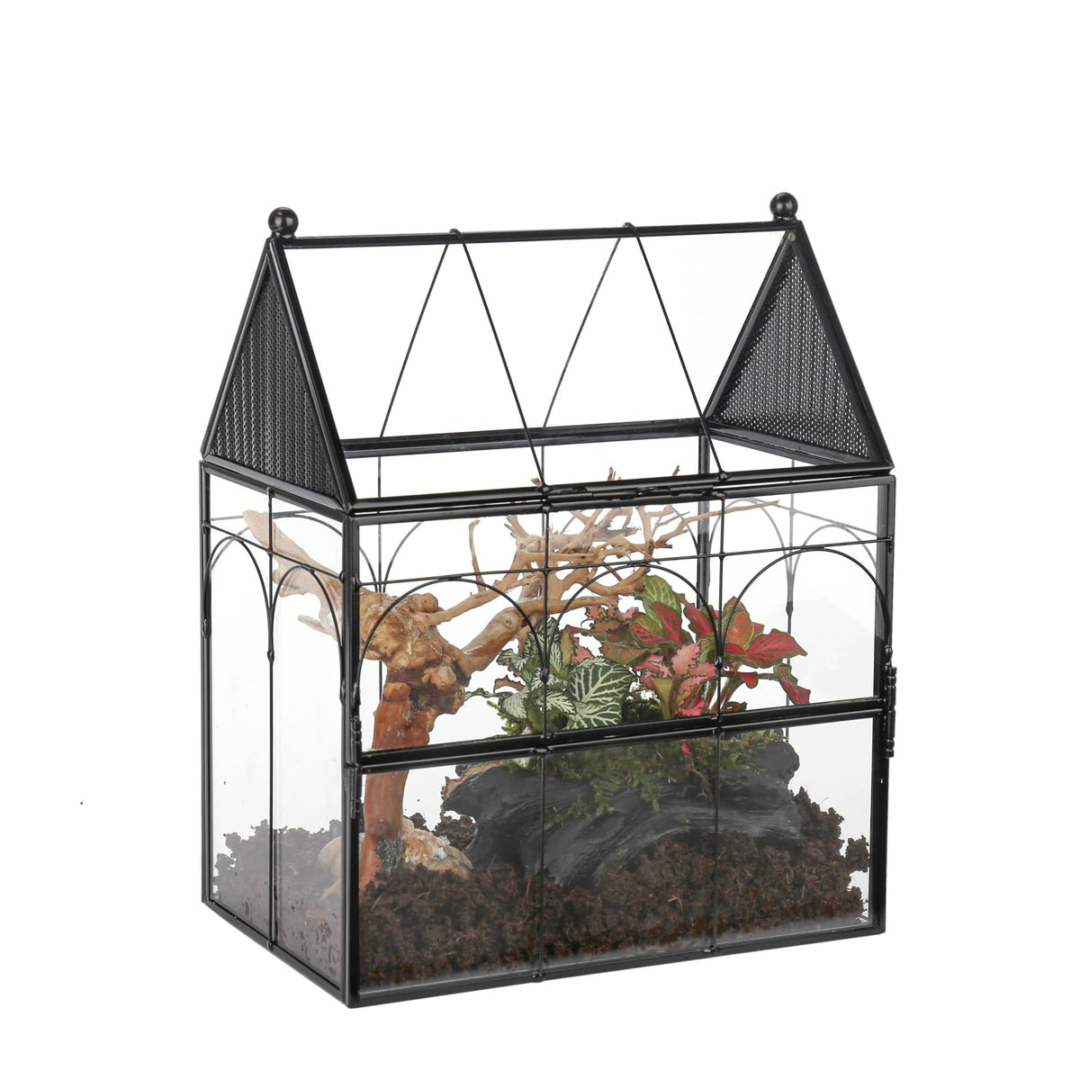 NCYP terrario de vidrio ventilado con puerta frontal, ideal para insectos pequeños.