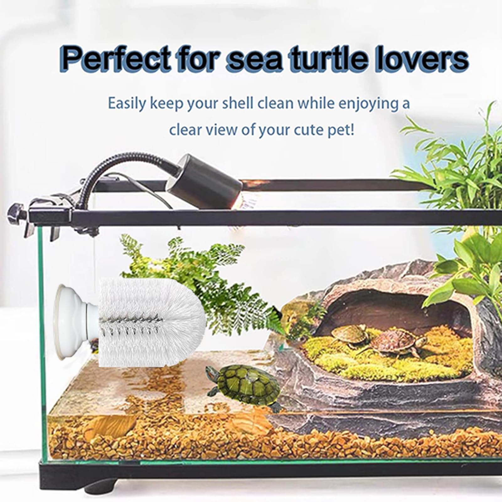 Neacus cepillo para tortugas con tornillos mantiene succión firme para uso estable