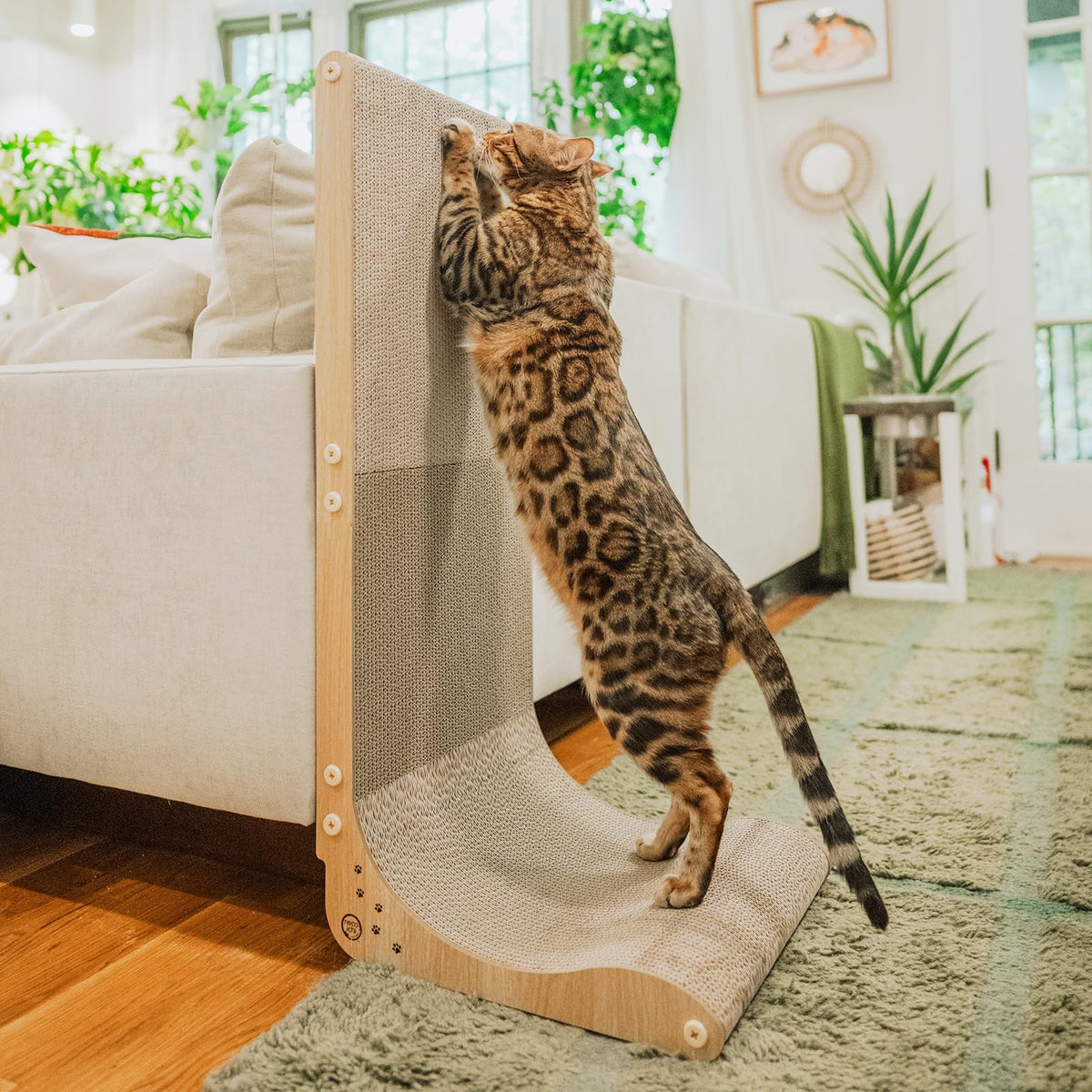 Rascador de pared Necoichi para gatos en interiores, protege muebles y facilita rascar.