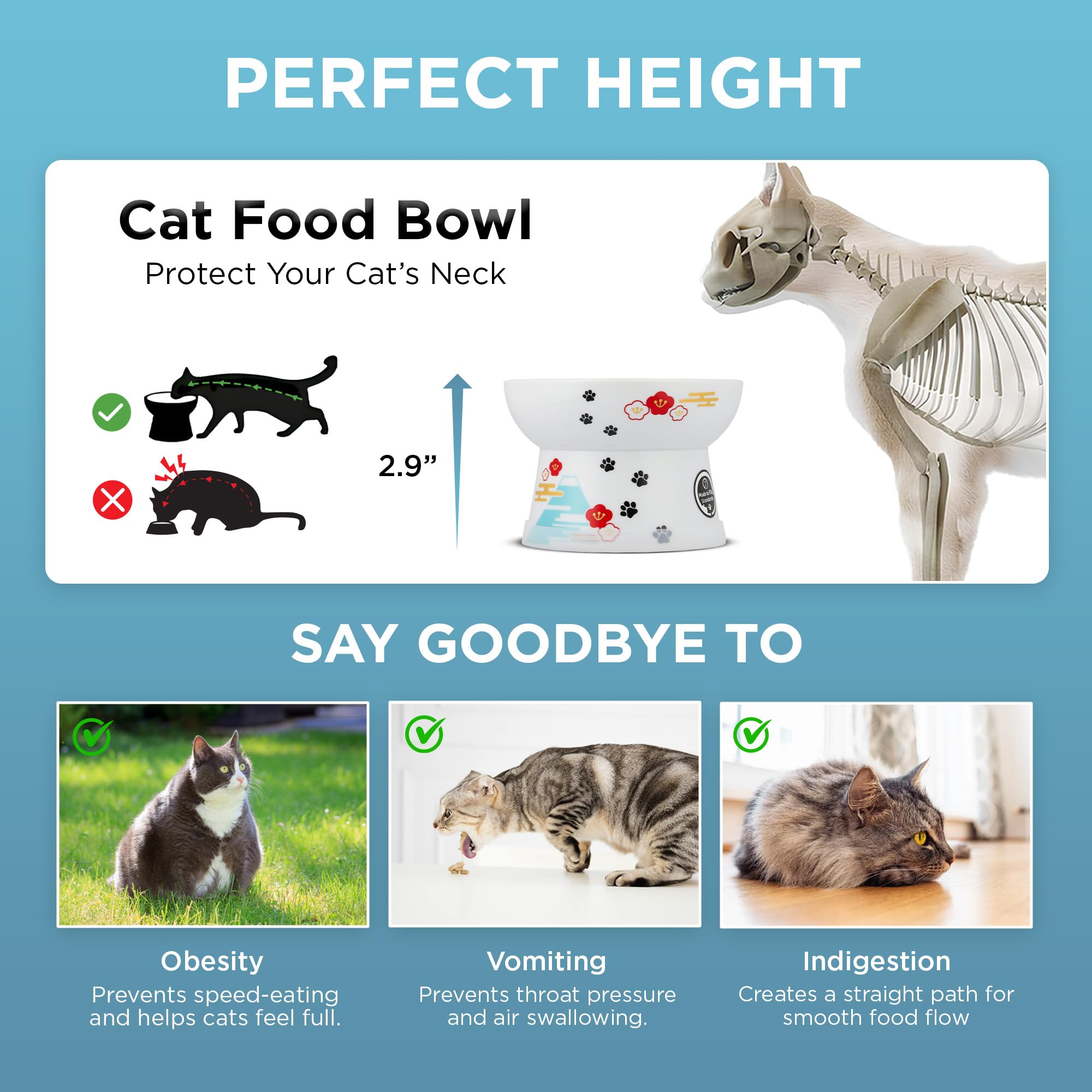 Tazón ergonómico Necoichi, ideal para gatos interiores y bigotes sensibles.