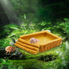 Neeenn bandeja baño reptiles, accesorio práctico para el terrario.