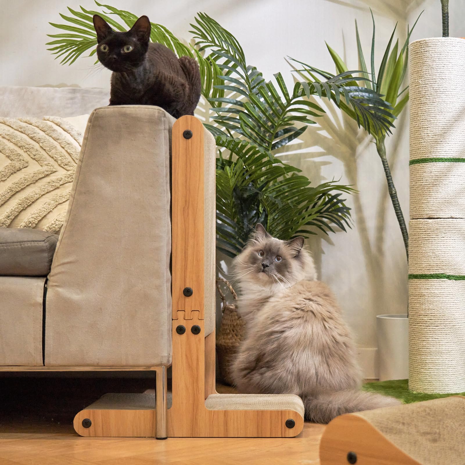 Nekosan bola interactiva, rascador con juego incluido para mantener al felino entretenido.