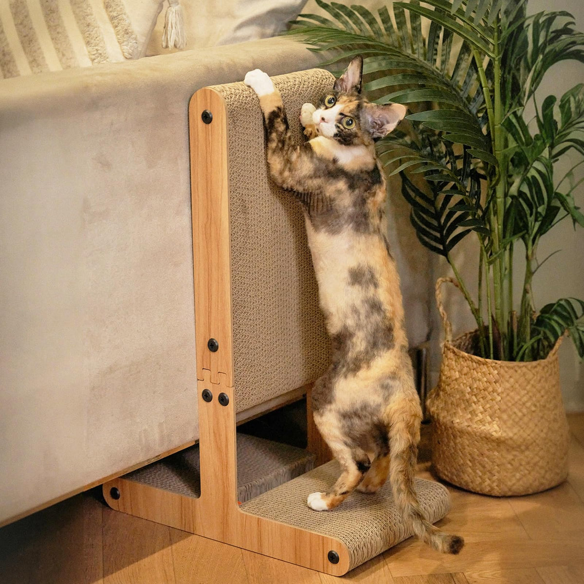 Nekosan rascador para gatos, vista general, solución versátil para arañar y jugar.