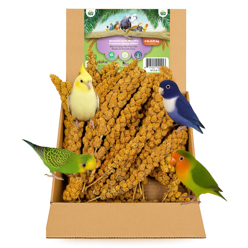 Nemeth Farms Millet Spray, bolsa cerrada, mantiene sabor y frescura para aves.