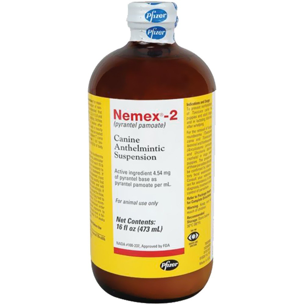 Nemex 2: suspensión para perros, útil para controlar gusanos intestinales