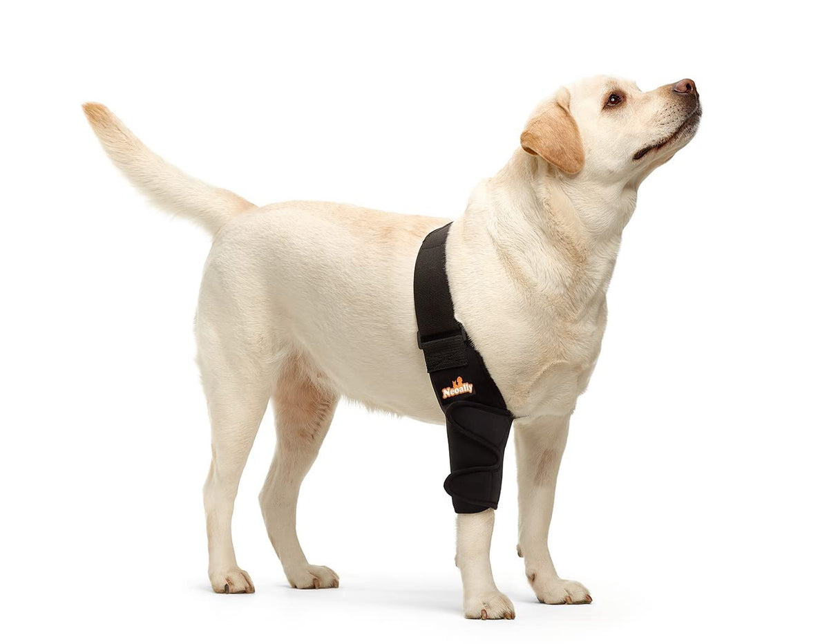 NeoAlly protector codo perro derecha grande ofrece soporte articular para movilidad diaria.