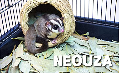 NEOUZA sugar glider, material natural sin aditivos para una experiencia segura.