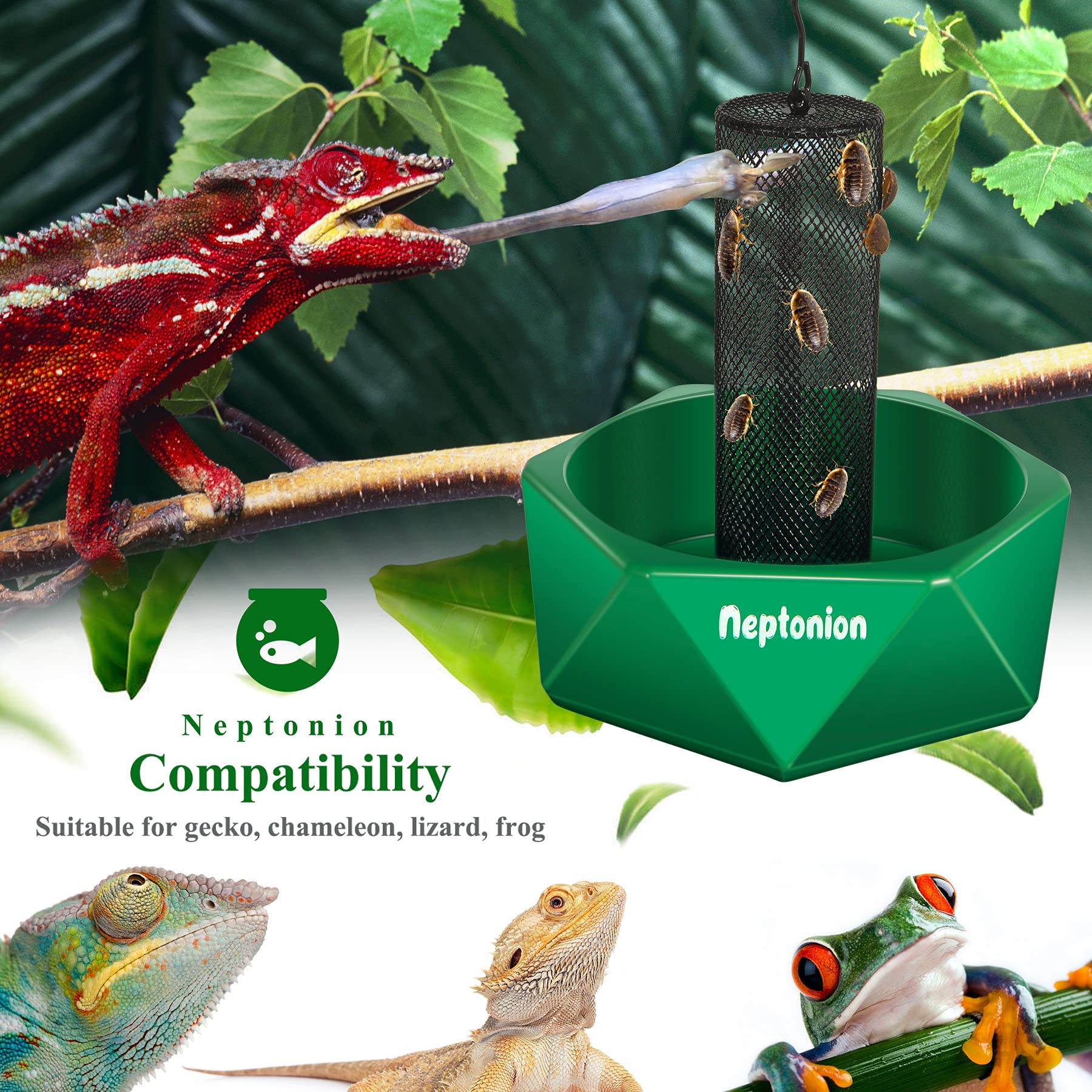 NEPTONION drenaje con cuatro orificios evita acumulación de agua en el fondo