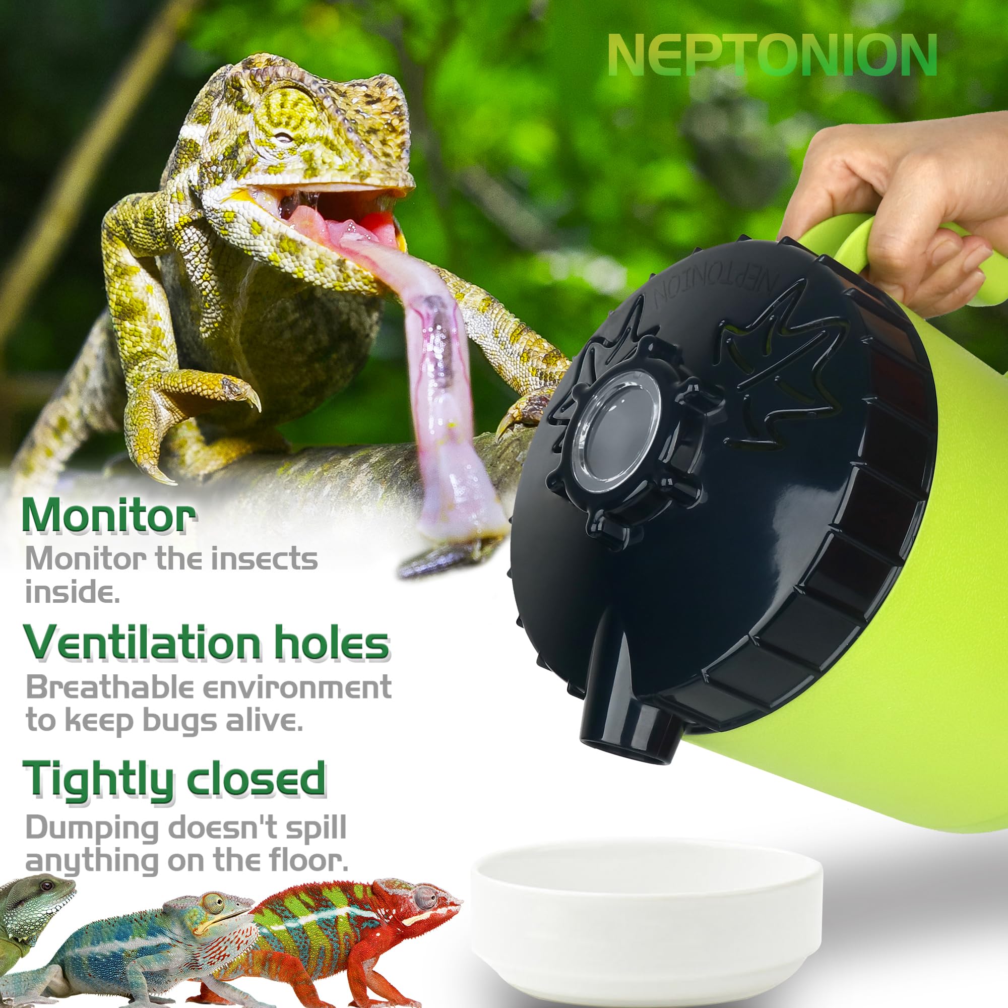 NEPTONION soporte de alimento e imán con recesos