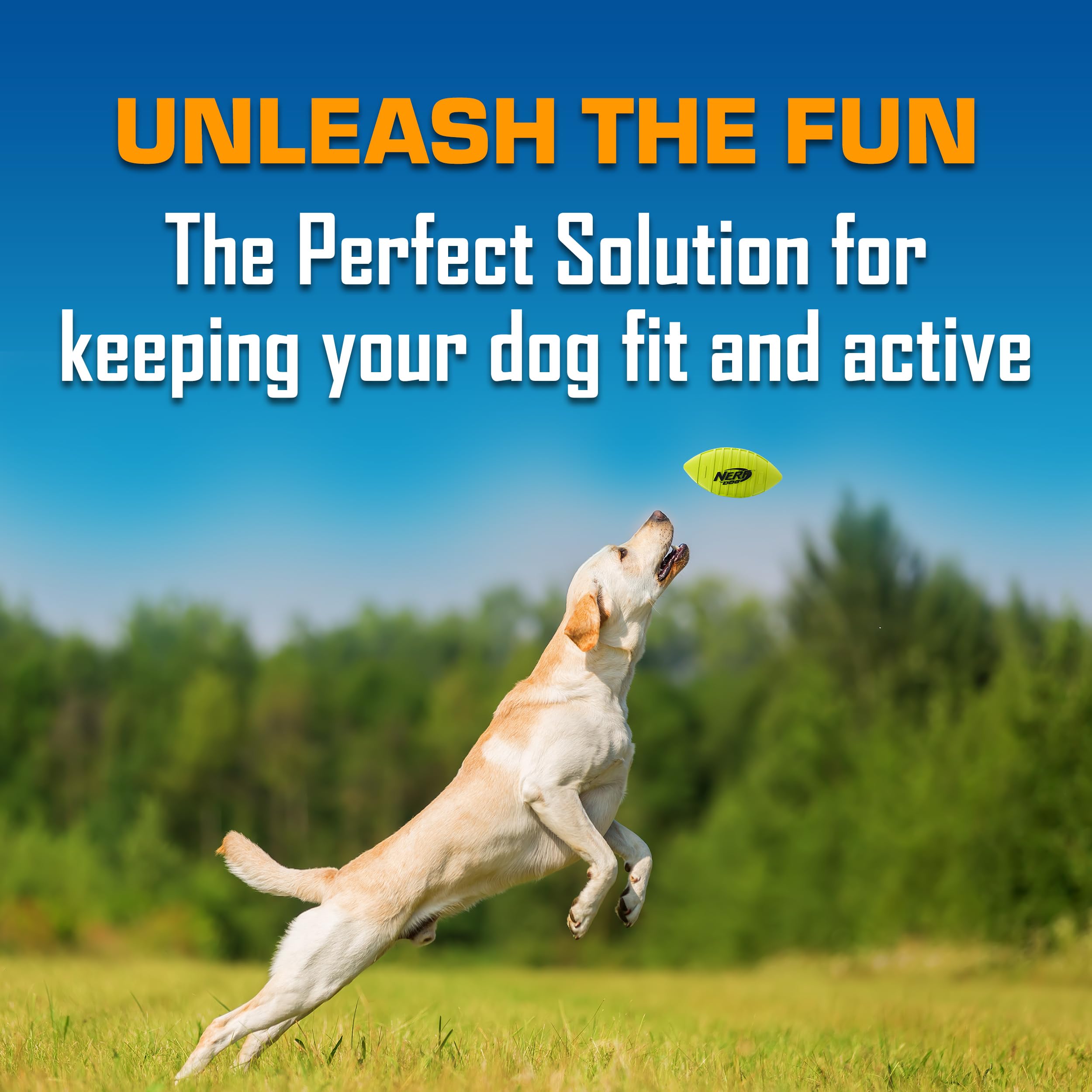 Nerf Dog Blitz: pelota resistente al agua, ideal para playa y piscina.