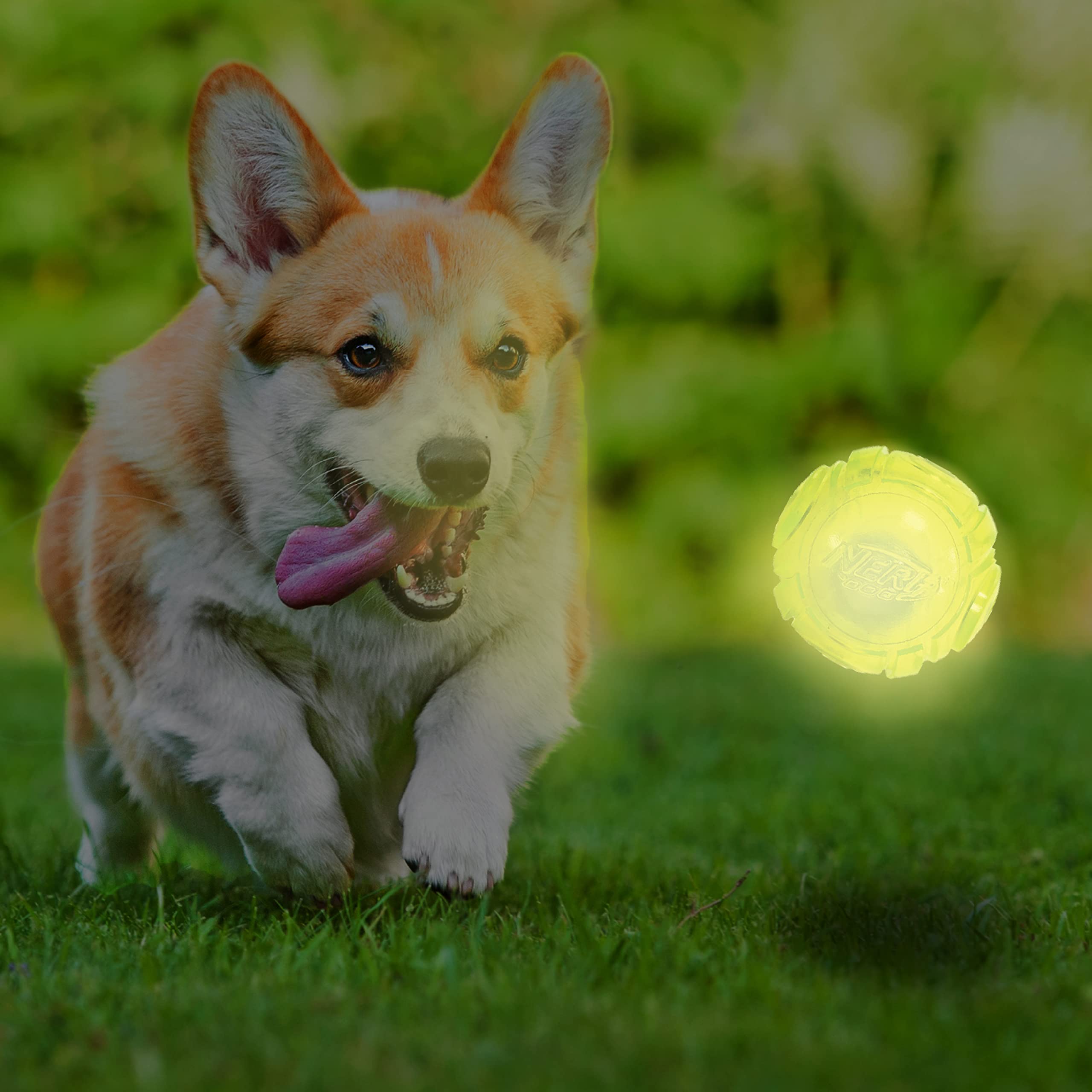 Nerf Dog bola sónica luminosa brilla para sesiones nocturnas de juego.