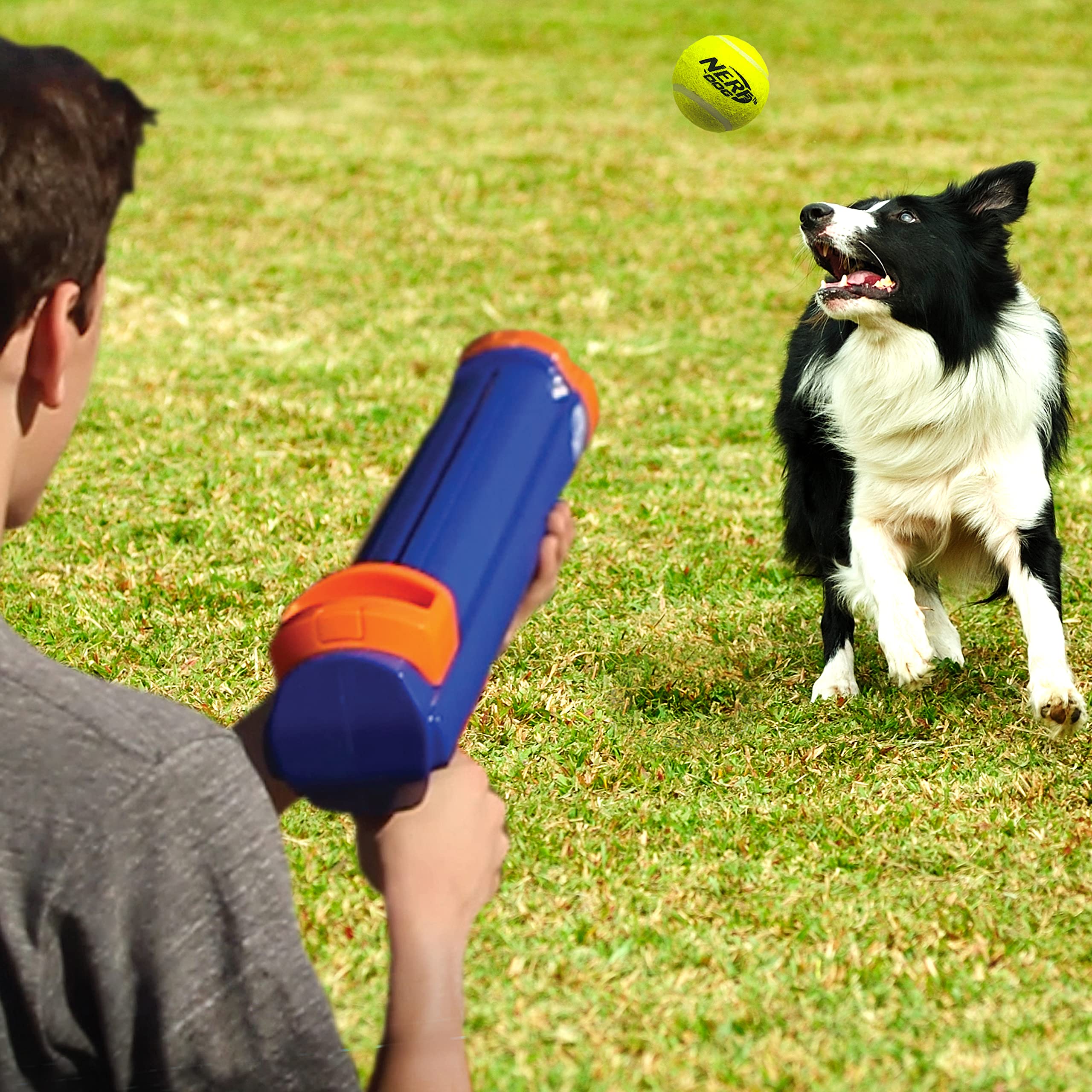 Nerf Dog bolas tenis en malla con tres unidades, listas para jugar