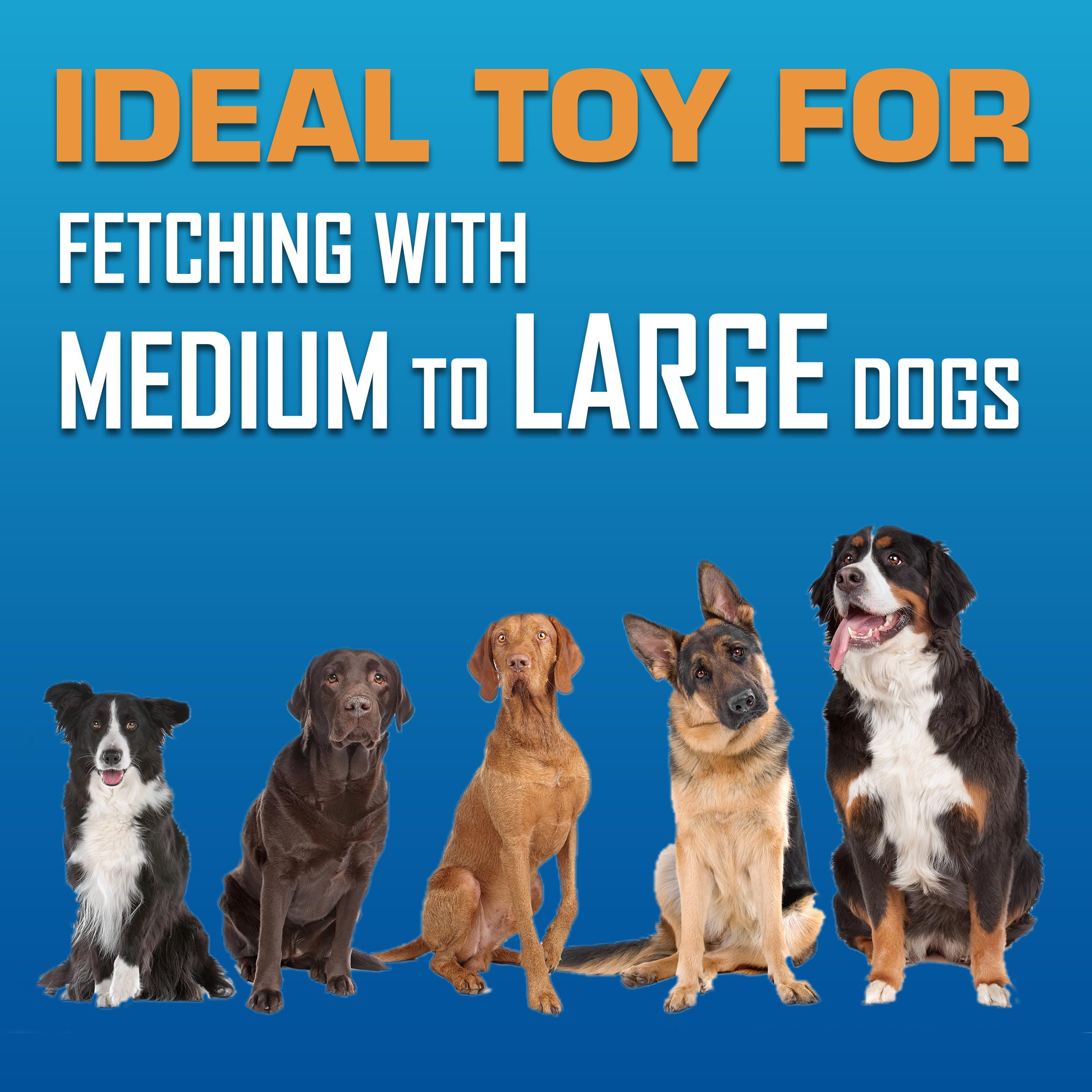 Nerf Dog Disco Volador flotante apto para piscina.