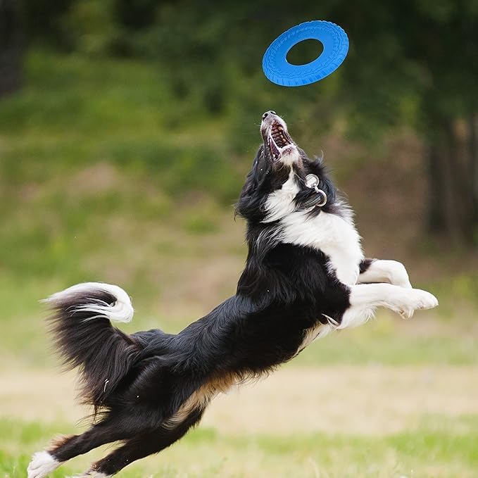 Nerf Dog Disco Volador azul facilita la diversión en el jardín.