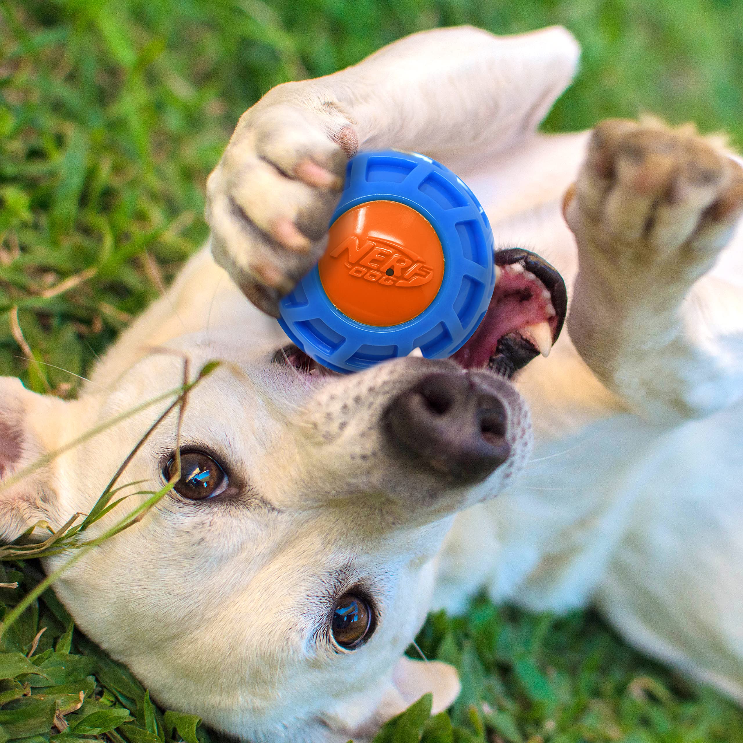 Nerf Dog exo-tpr-bola-4in-azul-naranja: durabilidad y visibilidad en cada lanzamiento.