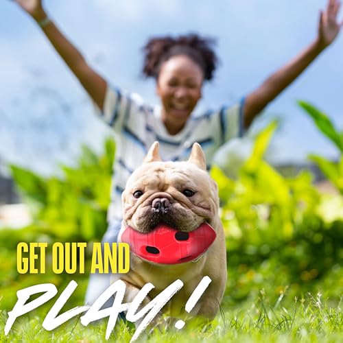 Nerf Dog Futbol, crujido interior para estimular mordisqueo seguro.